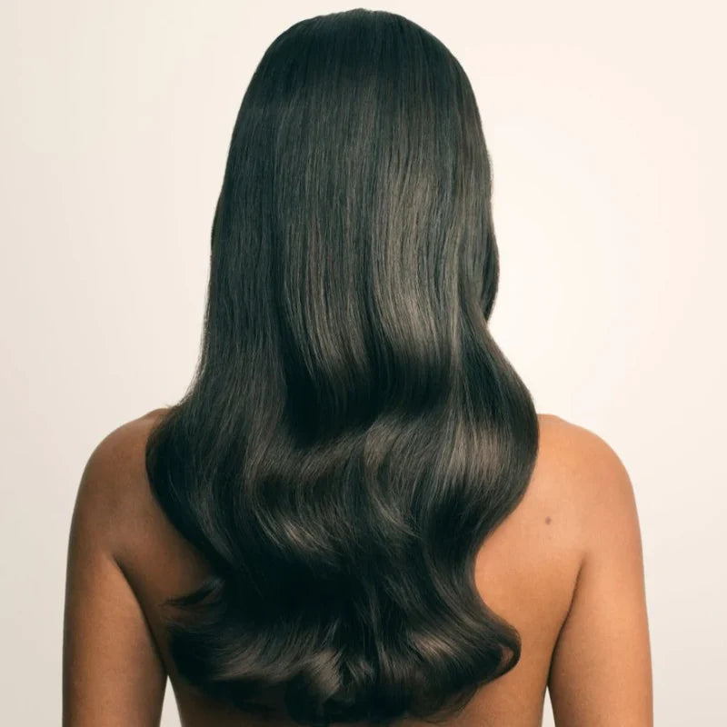 Gloss Coat - Protector Spray