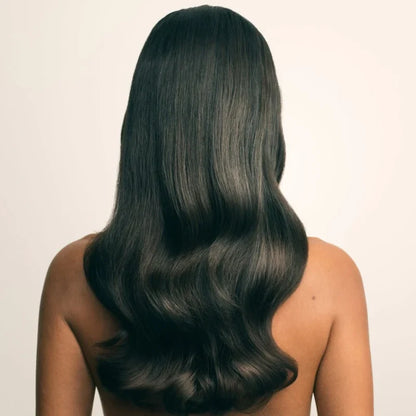 Gloss Coat - Protector Spray